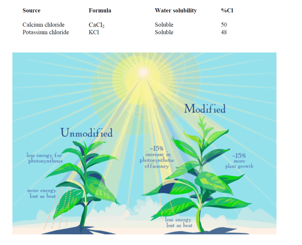 list of commercial fertilizers containing chlorides list of commercial fertilizers containing chlorides